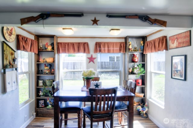 dining area featuring hardwood / wood-style flooring and plenty of natural light