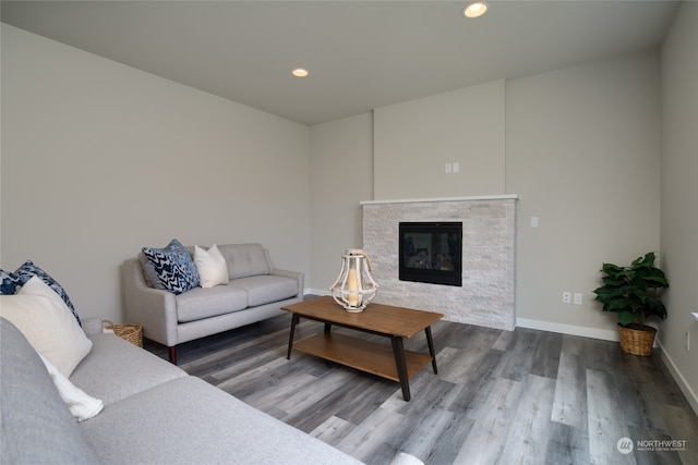 living room with a fireplace and wood-type flooring