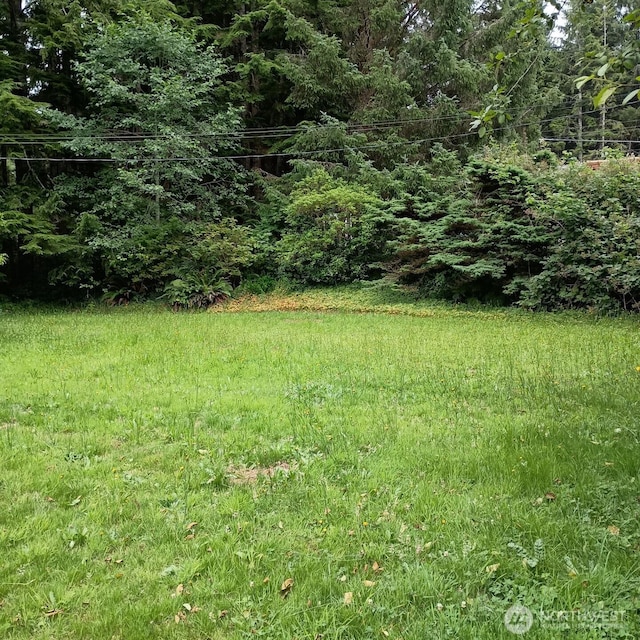 8 Griffard St, Copalis Beach, WA 98535 - view of yard