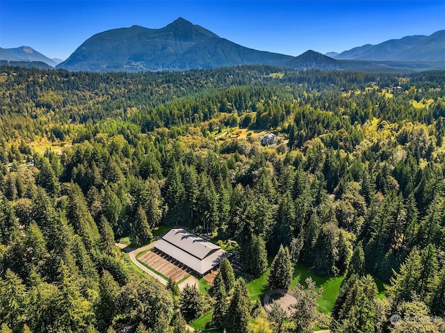 bird's eye view featuring a mountain view