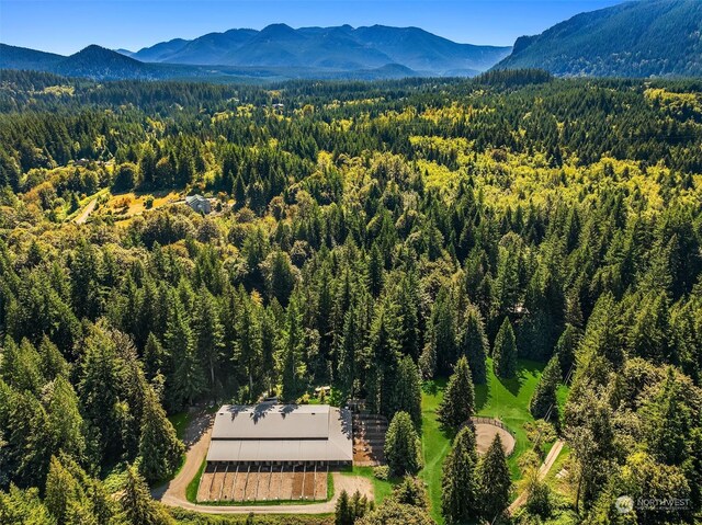 birds eye view of property featuring a mountain view