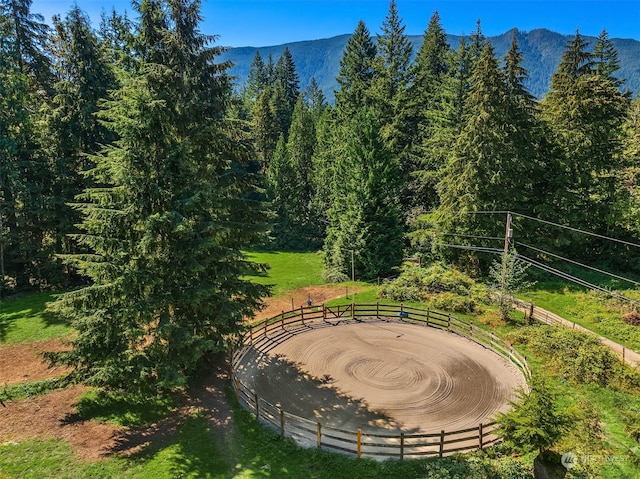 view of home's community with a mountain view and a rural view