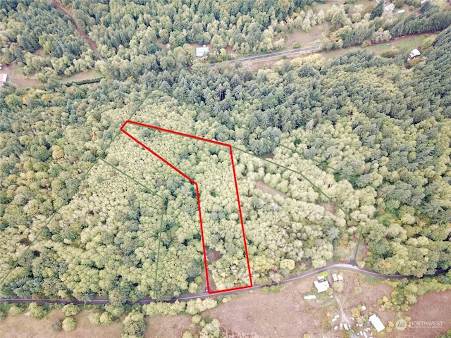 10943 Lundeen Rd SW, Rochester WA, 98579 land for sale