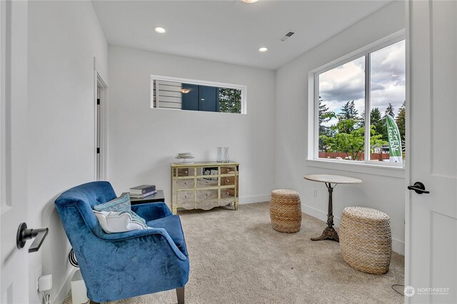 living area featuring carpet floors