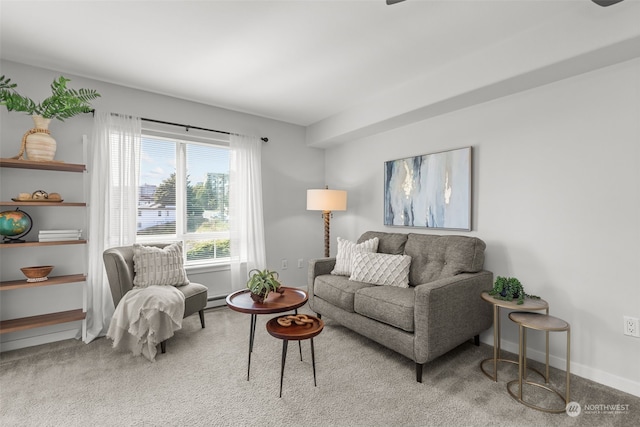 living room featuring light carpet