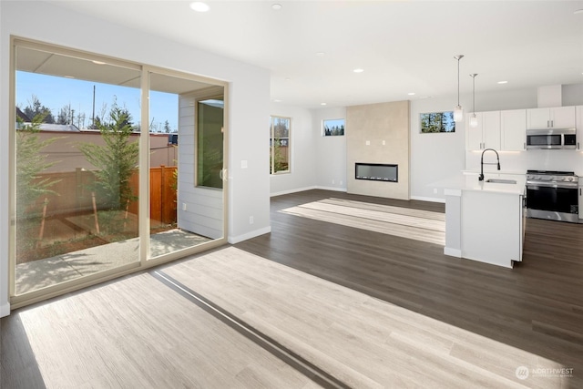 kitchen featuring white cabinets, dark wood finished floors, stainless steel appliances, a fireplace, and a sink