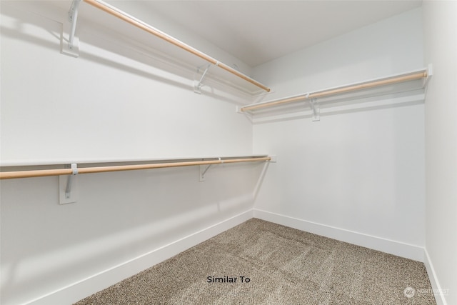 spacious closet with carpet