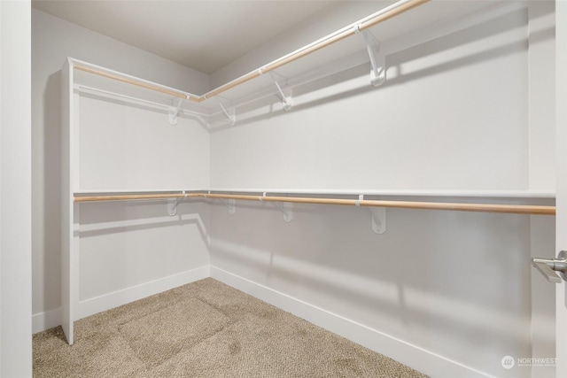 walk in closet with carpet