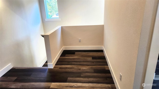 staircase with wood-type flooring