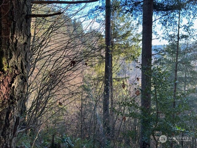 194XX SE Jones Rd, Renton, WA 98058 - photo 11
