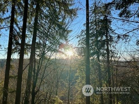 194XX SE Jones Rd, Renton, WA 98058 - photo 8