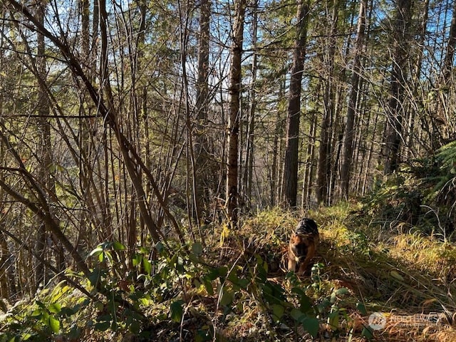 194XX SE Jones Rd, Renton, WA 98058 - photo 9