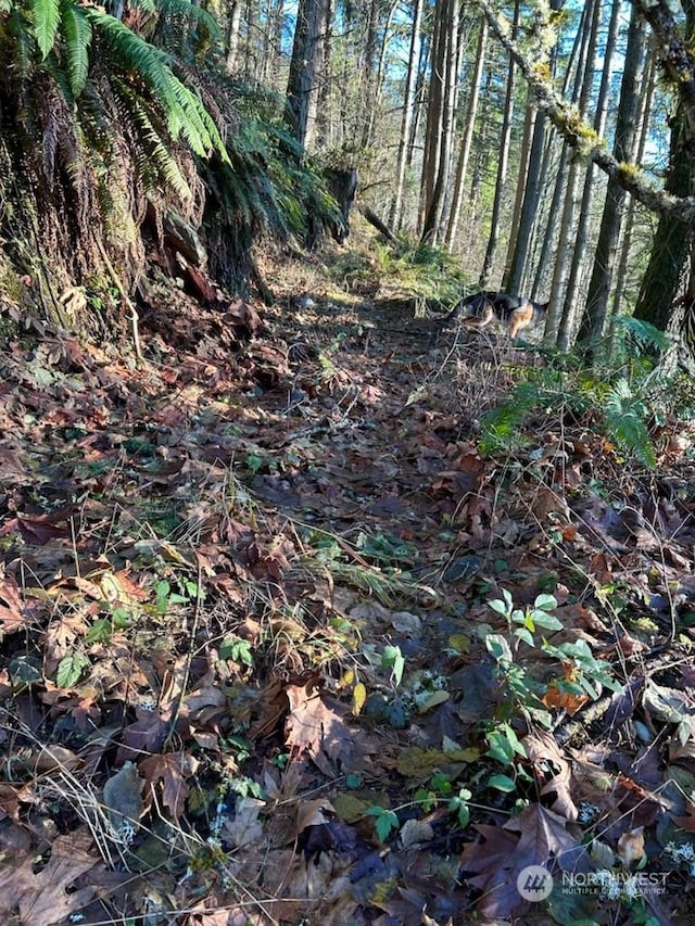 194XX SE Jones Rd, Renton, WA 98058 - photo 10