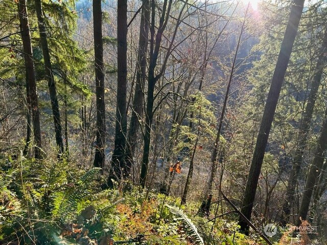 194XX SE Jones Rd, Renton, WA 98058 - photo 12