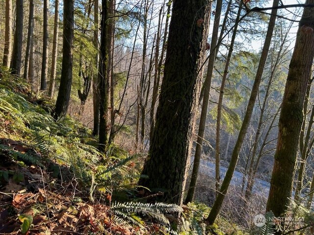 194XX SE Jones Rd, Renton, WA 98058 - photo 13