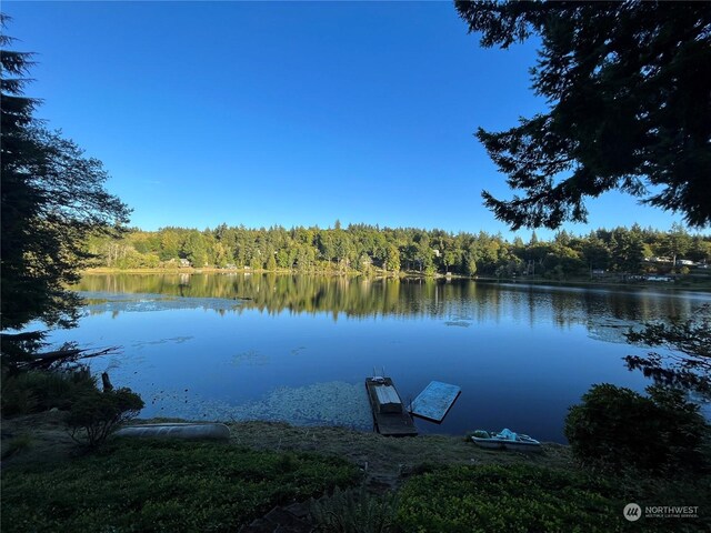 water view with a dock