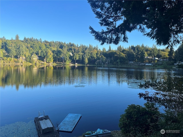 property view of water featuring a dock