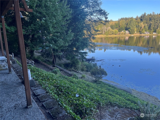 view of water feature