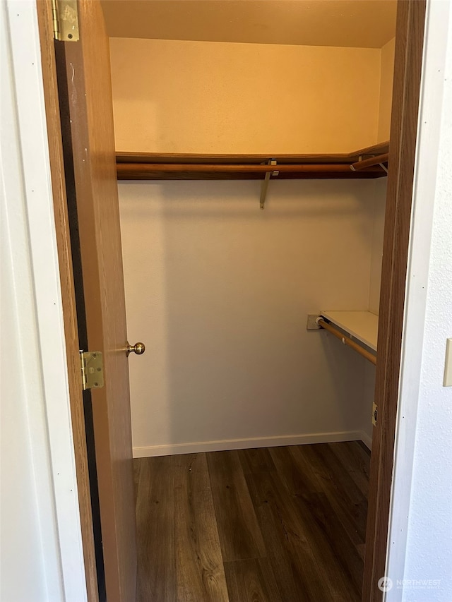 spacious closet with dark hardwood / wood-style floors