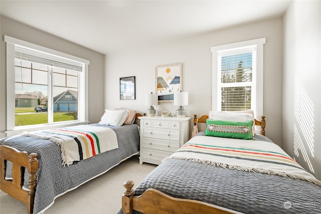 bedroom featuring multiple windows and light carpet