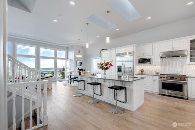 kitchen with a skylight, tasteful backsplash, a sink, built in appliances, and under cabinet range hood