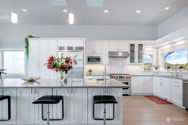 kitchen featuring under cabinet range hood, a kitchen breakfast bar, a sink, and built in appliances