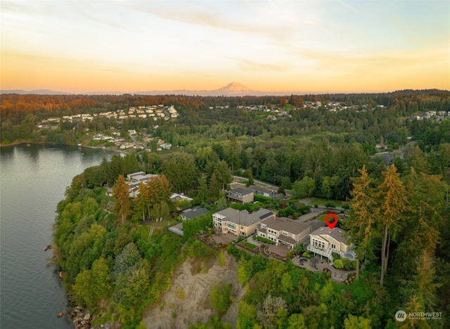 aerial view at dusk featuring a water view and a wooded view