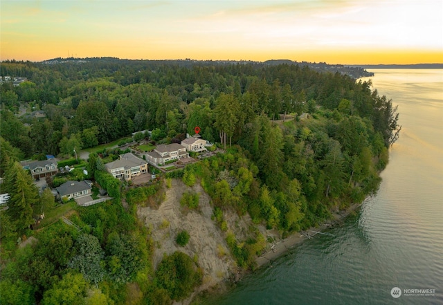 bird's eye view featuring a water view and a view of trees