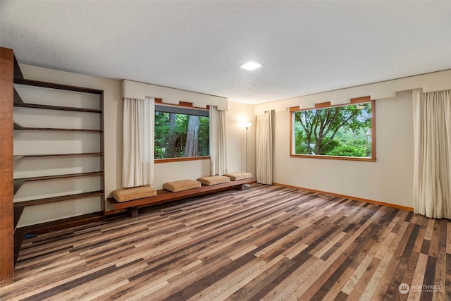 interior space featuring wood-type flooring and a textured ceiling