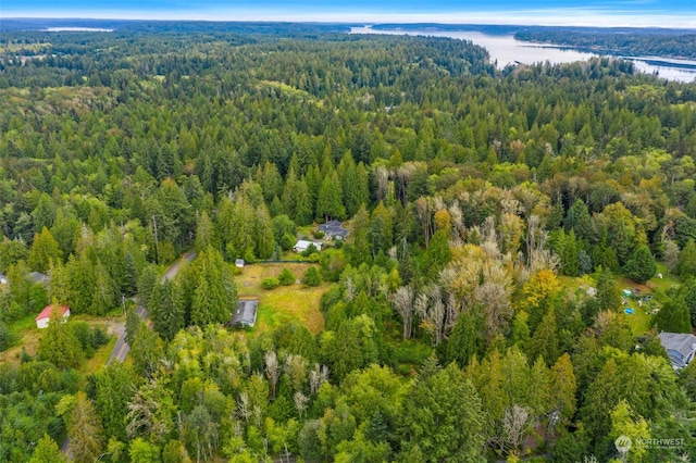 drone / aerial view featuring a forest view and a water view