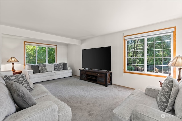 view of carpeted living room