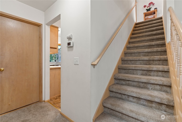 stairway featuring carpet floors