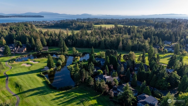 bird's eye view featuring a water and mountain view and a view of trees