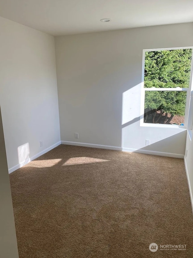 empty room with plenty of natural light and carpet