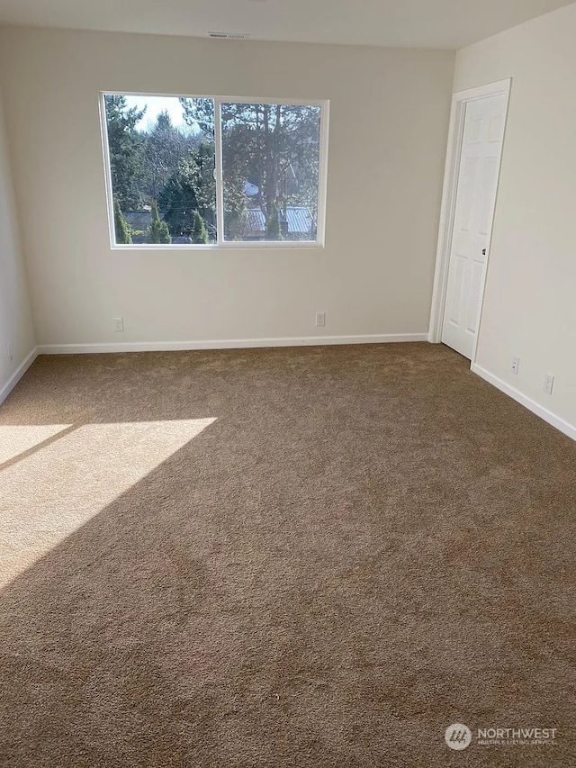 empty room with a healthy amount of sunlight and carpet floors