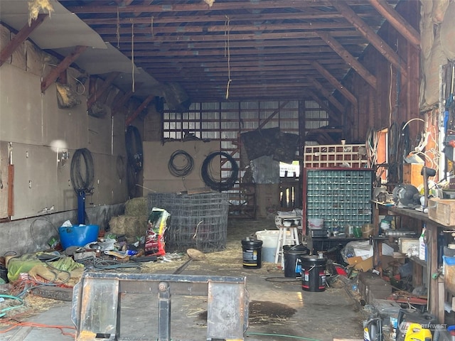 miscellaneous room featuring lofted ceiling