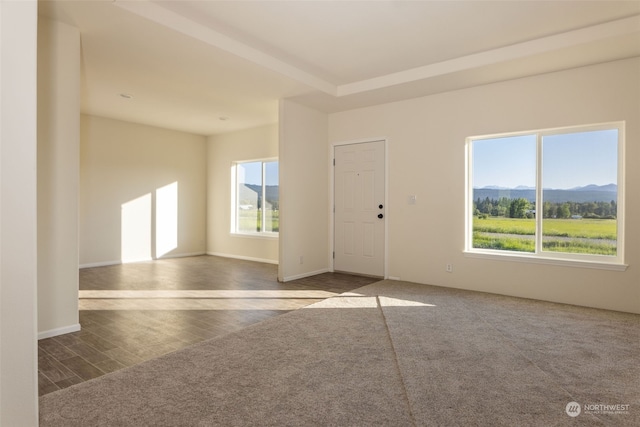 entrance foyer with a mountain view and hardwood / wood-style flooring