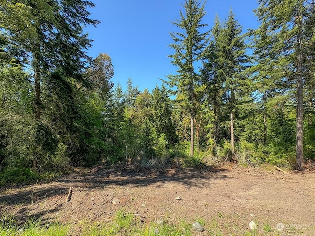 9999 Doe Run Rd, Sequim WA, 98382 land for sale