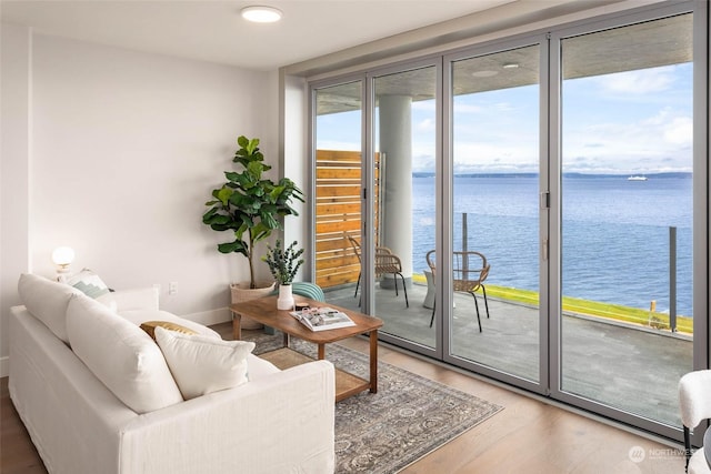 living area featuring baseboards, a water view, and wood finished floors