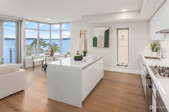 kitchen featuring a sink, stainless steel gas stovetop, light wood-style floors, white cabinetry, and modern cabinets