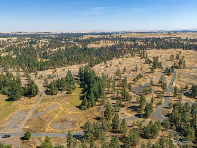 bird's eye view with a rural view