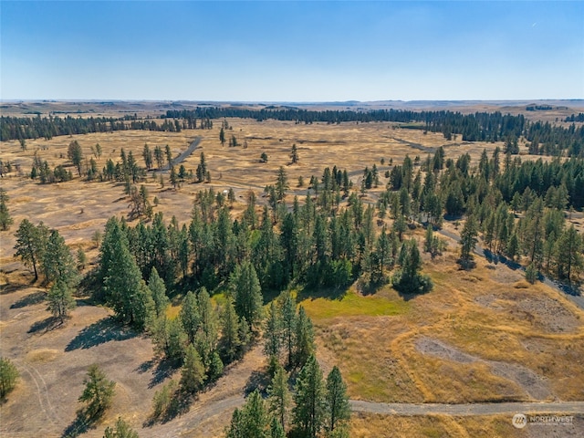 drone / aerial view featuring a rural view