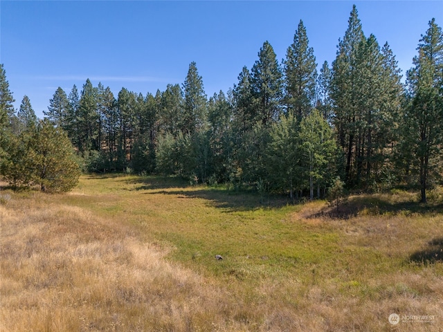 view of local wilderness