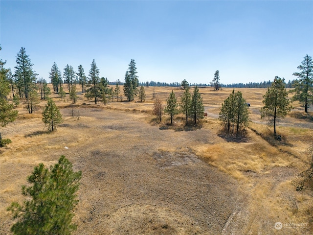 view of yard with a rural view