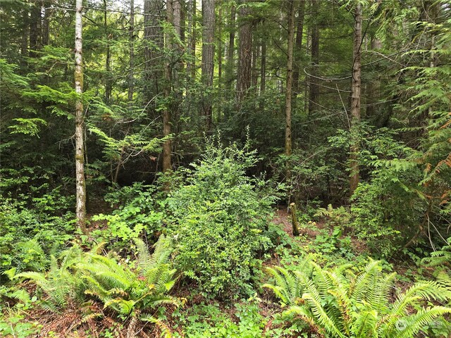 41 N Paradise Dr, Lilliwaup, WA 98555