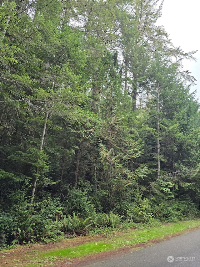 41 N Paradise Dr, Lilliwaup, WA 98555