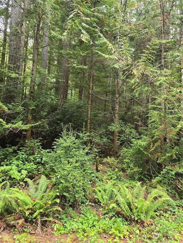 41 N Paradise Dr, Lilliwaup, WA 98555