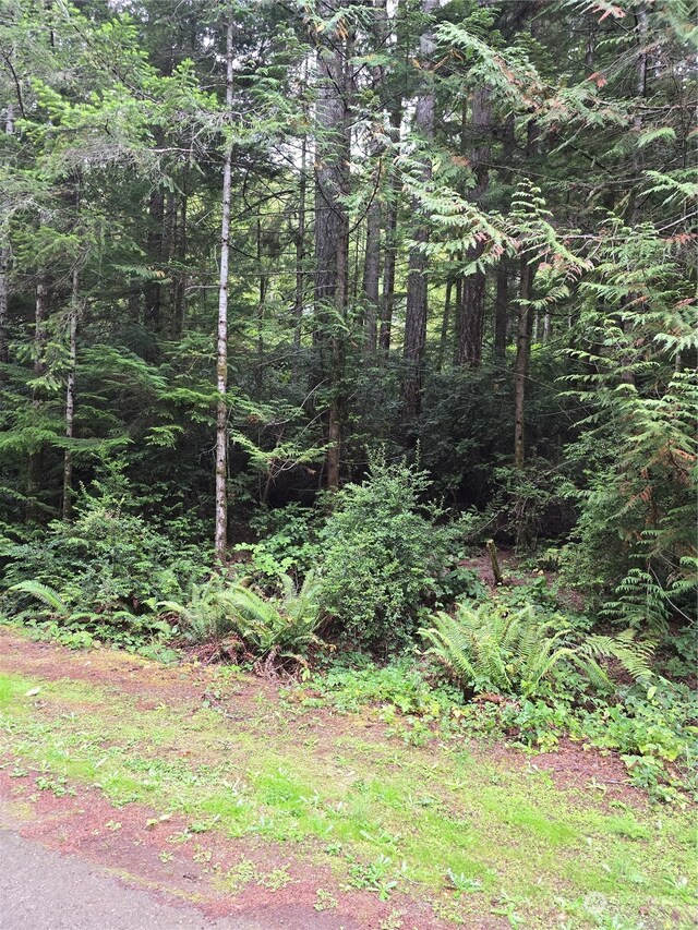 41 N Paradise Dr, Lilliwaup, WA 98555