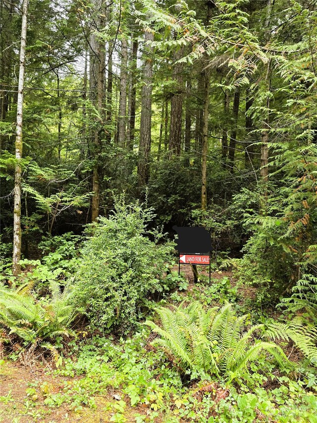 41 N Paradise Dr, Lilliwaup, WA 98555