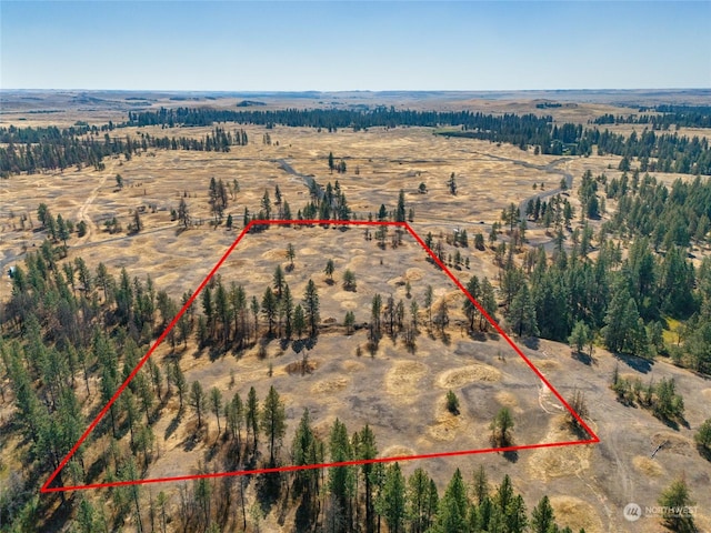 36377 S Bootstrap Ln, Cheney, WA 99004 - photo 2